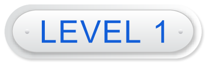 level1