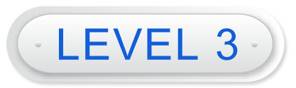 level3